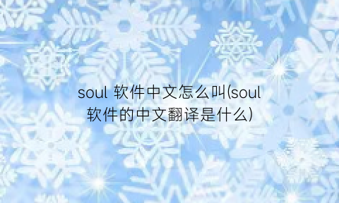 soul软件中文怎么叫(soul软件的中文翻译是什么)